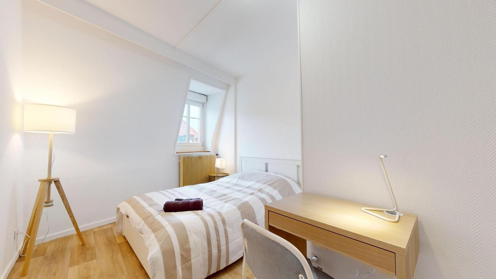 Le Carre Mulhousien Apartment Mulhouse
