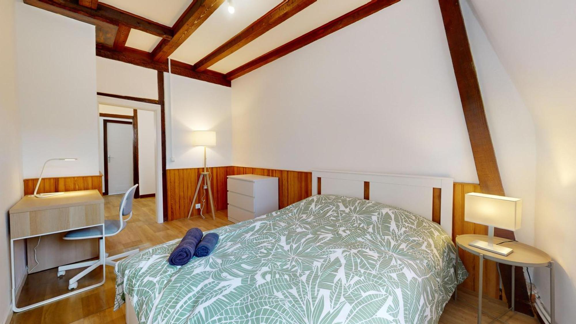 Le Carre Mulhousien Apartment Mulhouse